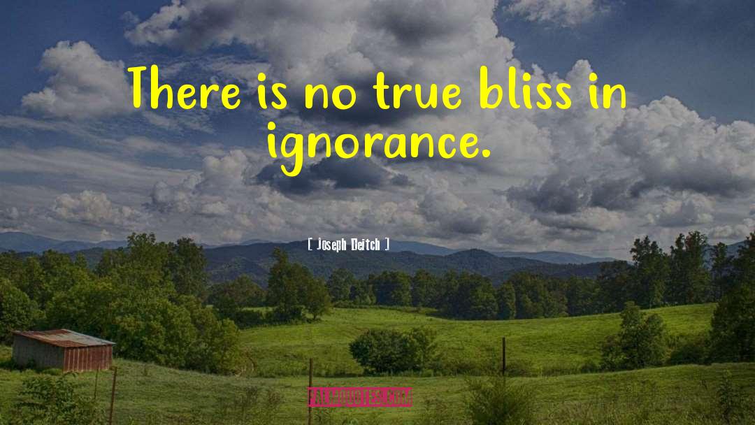 Joseph Deitch Quotes: There is no true bliss