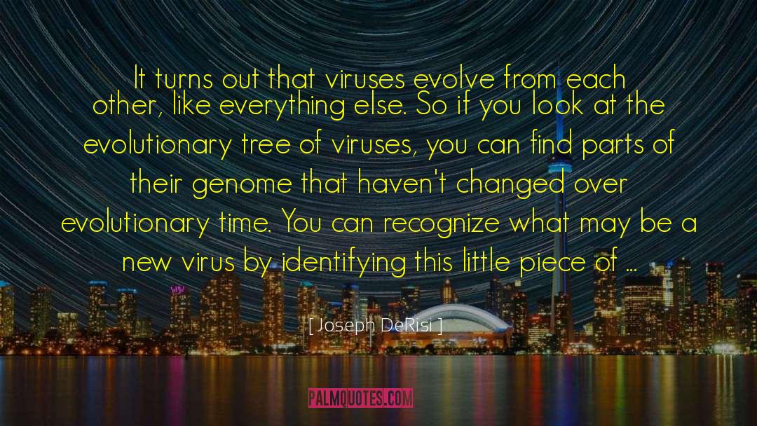 Joseph DeRisi Quotes: It turns out that viruses