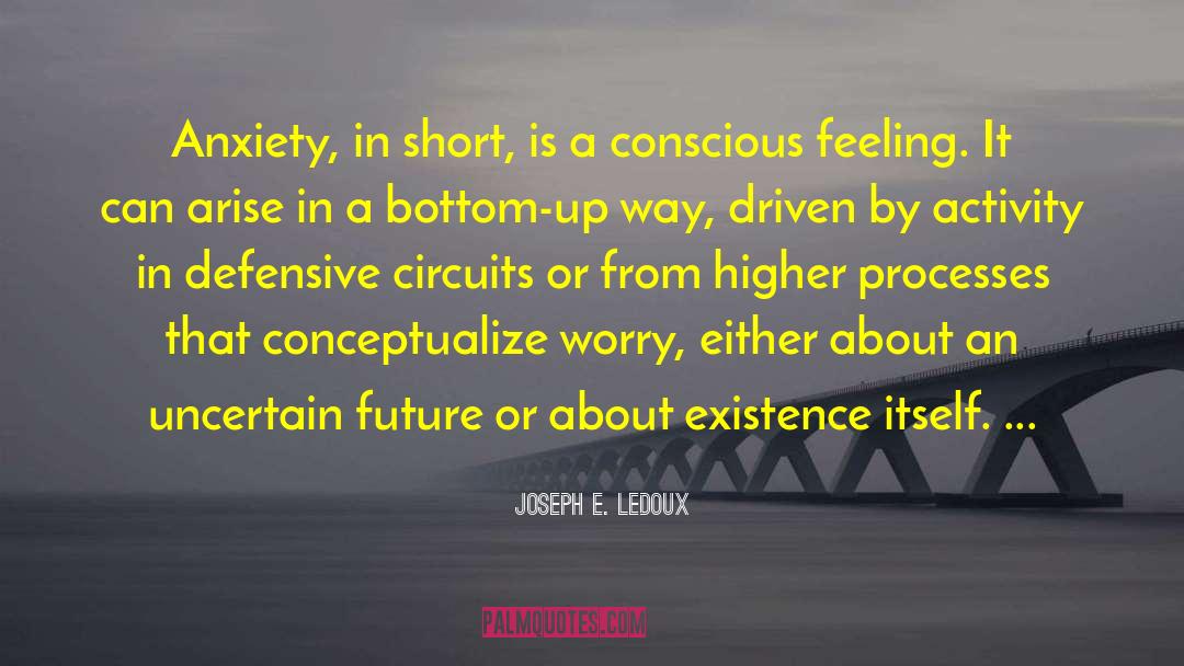 Joseph E. Ledoux Quotes: Anxiety, in short, is a