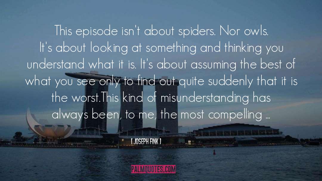 Joseph Fink Quotes: This episode isn't about spiders.