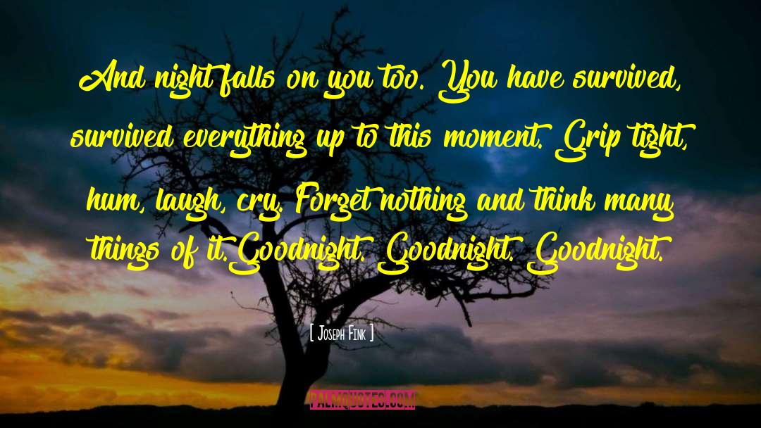 Joseph Fink Quotes: And night falls on you