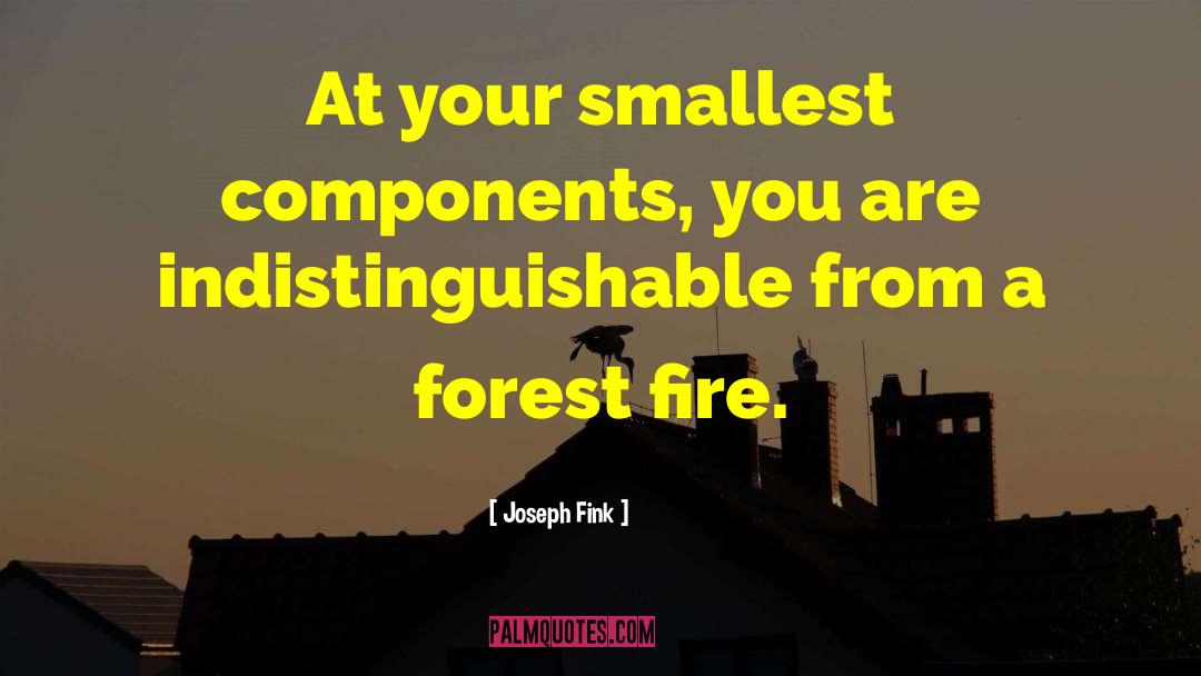 Joseph Fink Quotes: At your smallest components, you