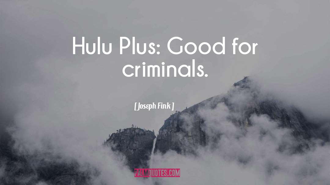 Joseph Fink Quotes: Hulu Plus: Good for criminals.