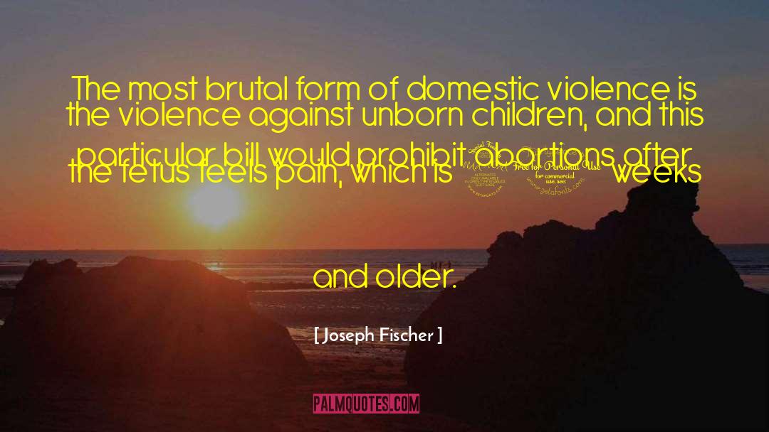 Joseph Fischer Quotes: The most brutal form of