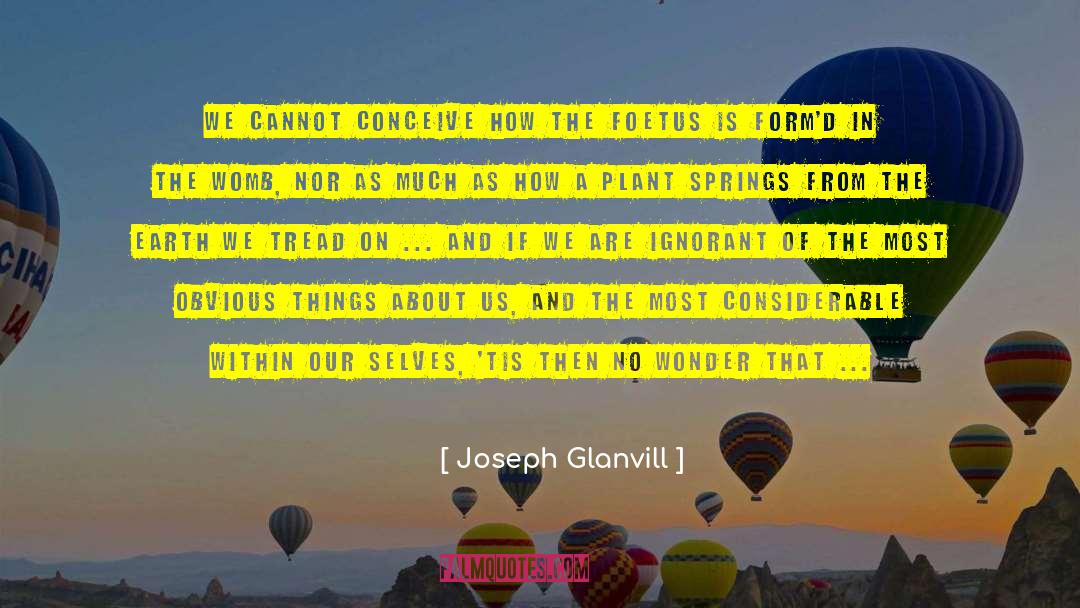 Joseph Glanvill Quotes: We cannot conceive how the