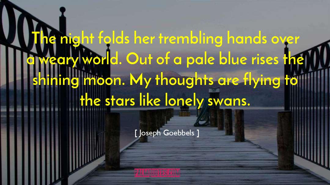 Joseph Goebbels Quotes: The night folds her trembling