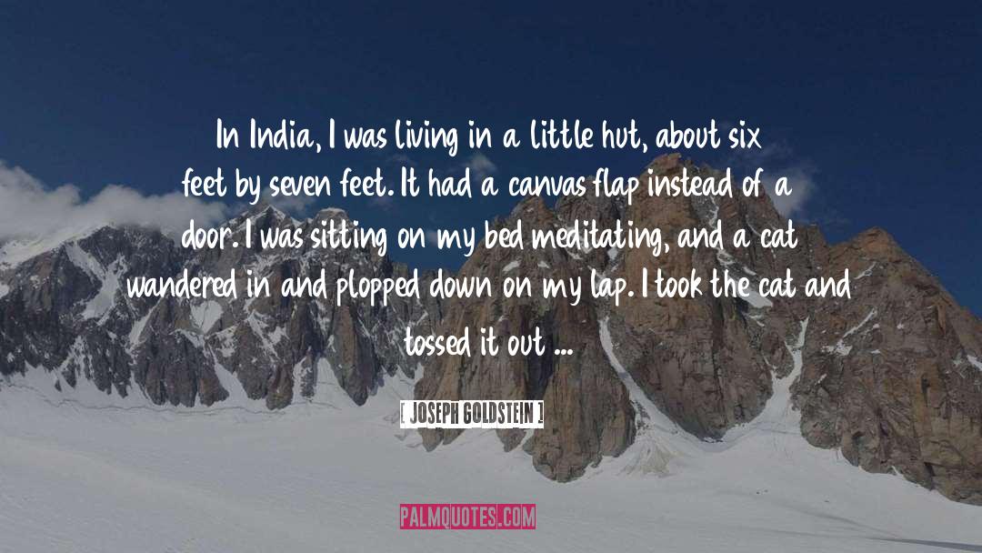 Joseph Goldstein Quotes: In India, I was living