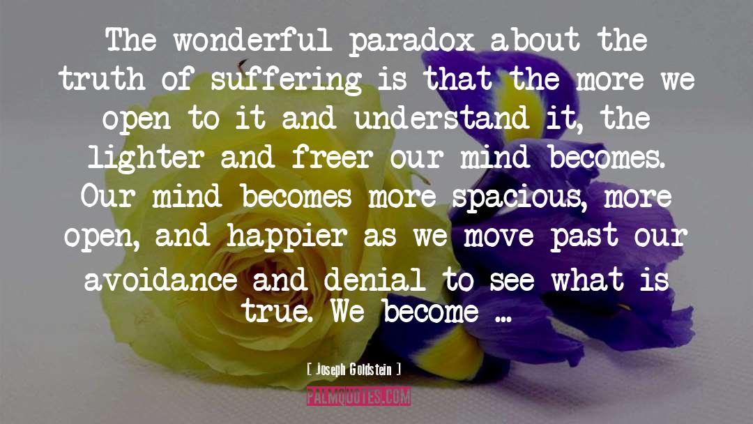 Joseph Goldstein Quotes: The wonderful paradox about the