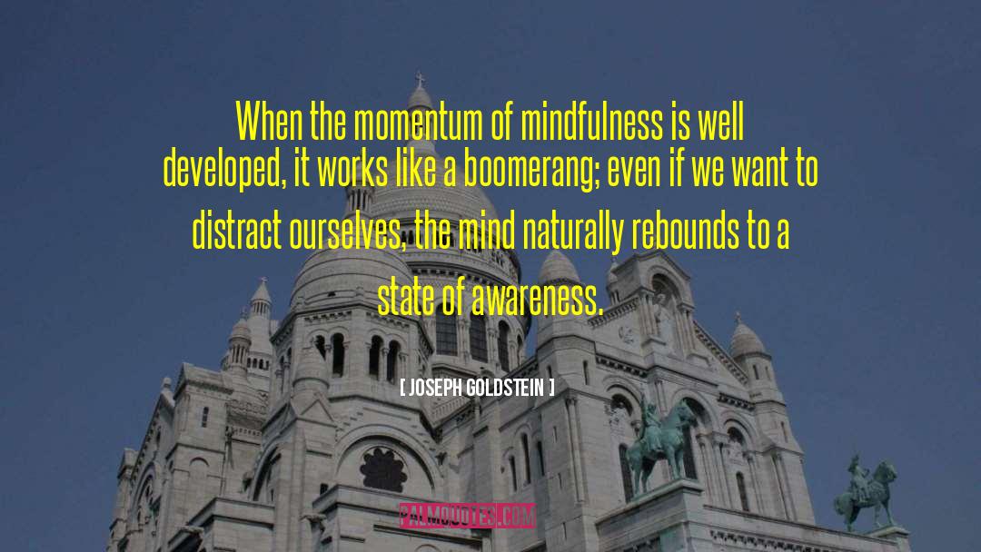 Joseph Goldstein Quotes: When the momentum of mindfulness