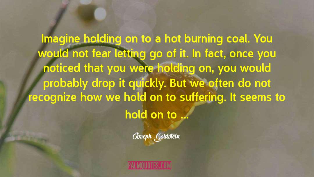 Joseph Goldstein Quotes: Imagine holding on to a