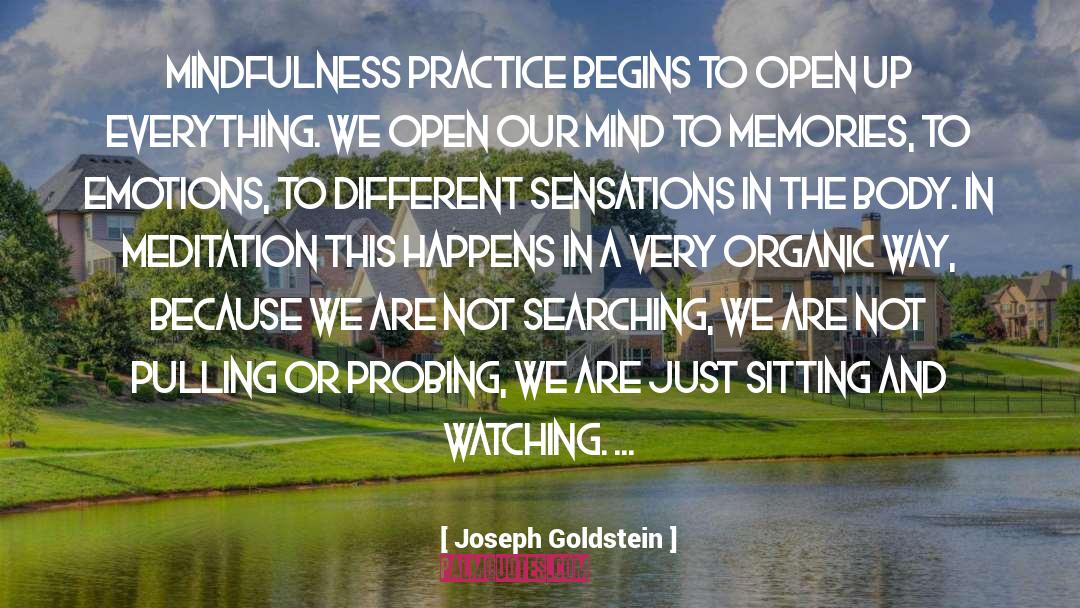 Joseph Goldstein Quotes: Mindfulness practice begins to open