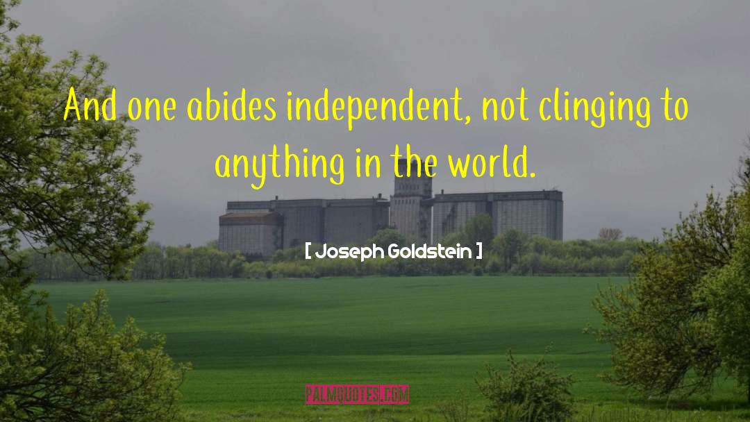 Joseph Goldstein Quotes: And one abides independent, not