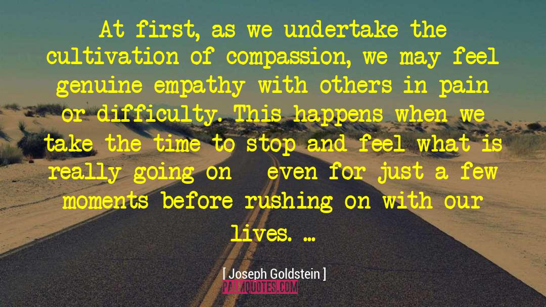 Joseph Goldstein Quotes: At first, as we undertake