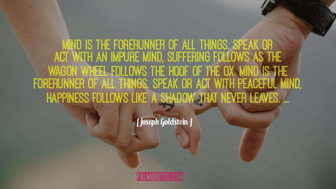 Joseph Goldstein Quotes: Mind is the forerunner of