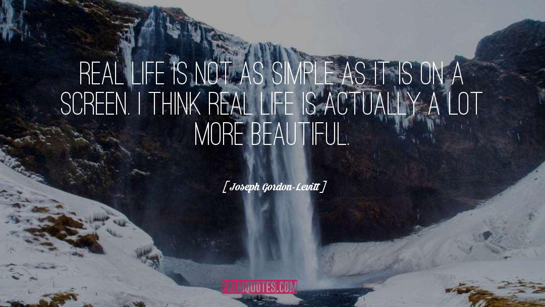 Joseph Gordon-Levitt Quotes: Real life is not as