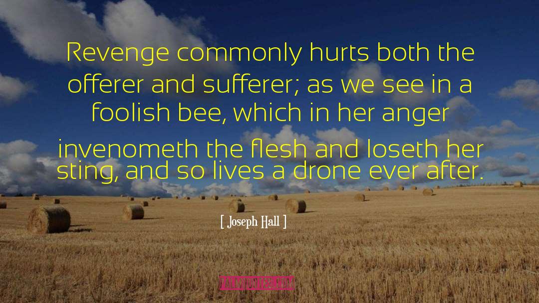 Joseph Hall Quotes: Revenge commonly hurts both the