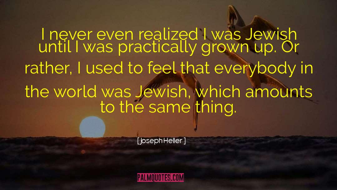 Joseph Heller Quotes: I never even realized I