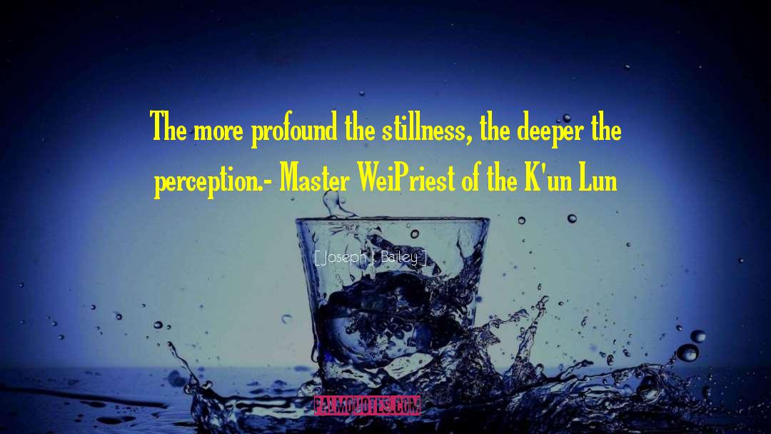 Joseph J. Bailey Quotes: The more profound the stillness,