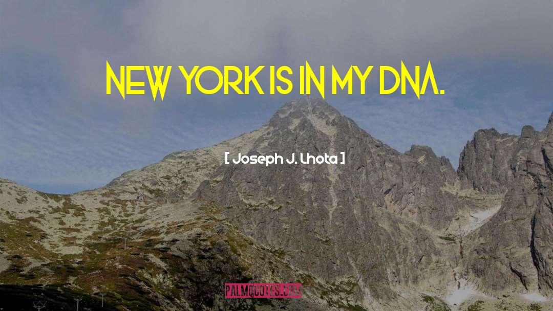 Joseph J. Lhota Quotes: New York is in my