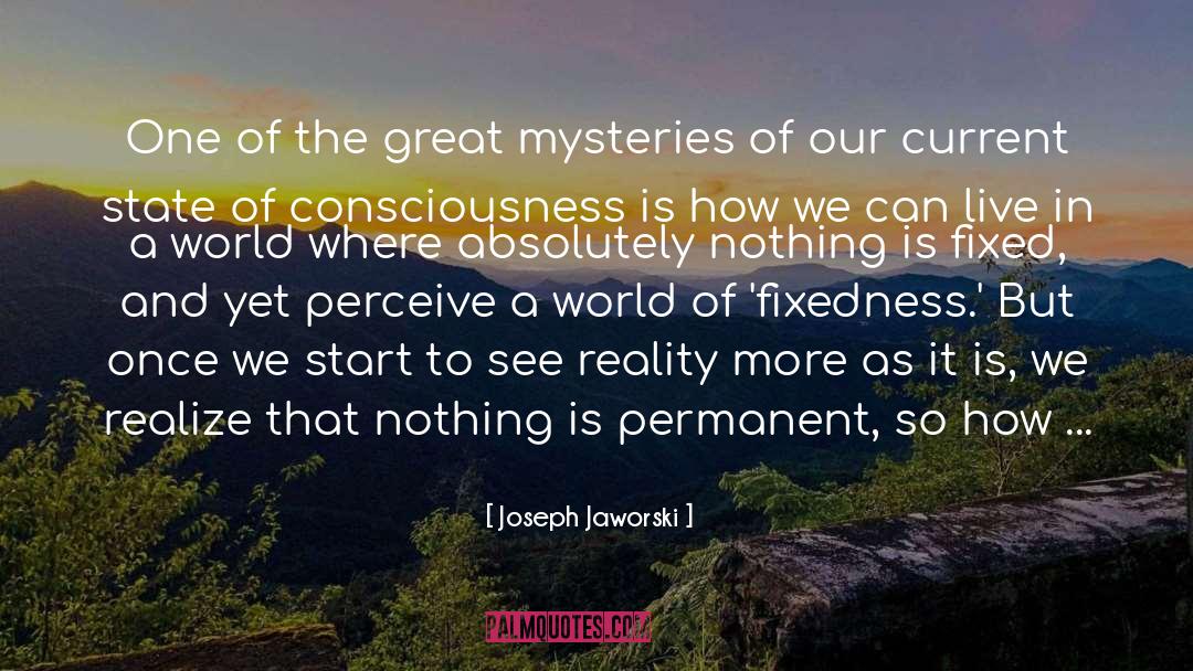 Joseph Jaworski Quotes: One of the great mysteries