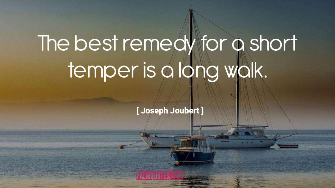 Joseph Joubert Quotes: The best remedy for a