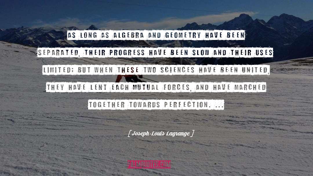 Joseph-Louis Lagrange Quotes: As long as algebra and