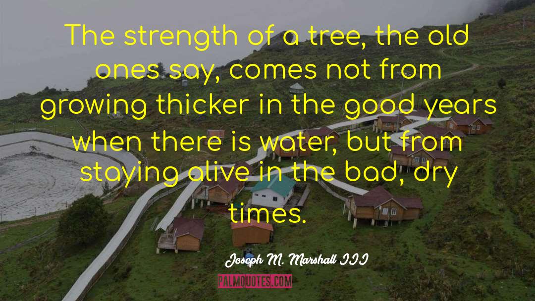 Joseph M. Marshall III Quotes: The strength of a tree,