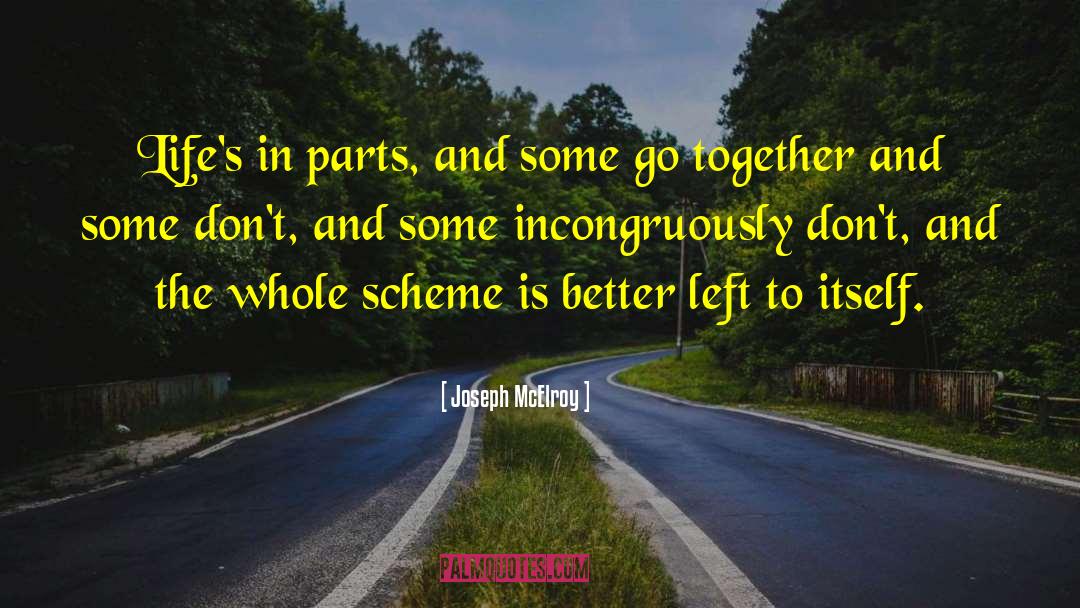 Joseph McElroy Quotes: Life's in parts, and some