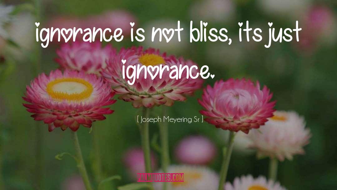 Joseph Meyering Sr Quotes: ignorance is not bliss, its