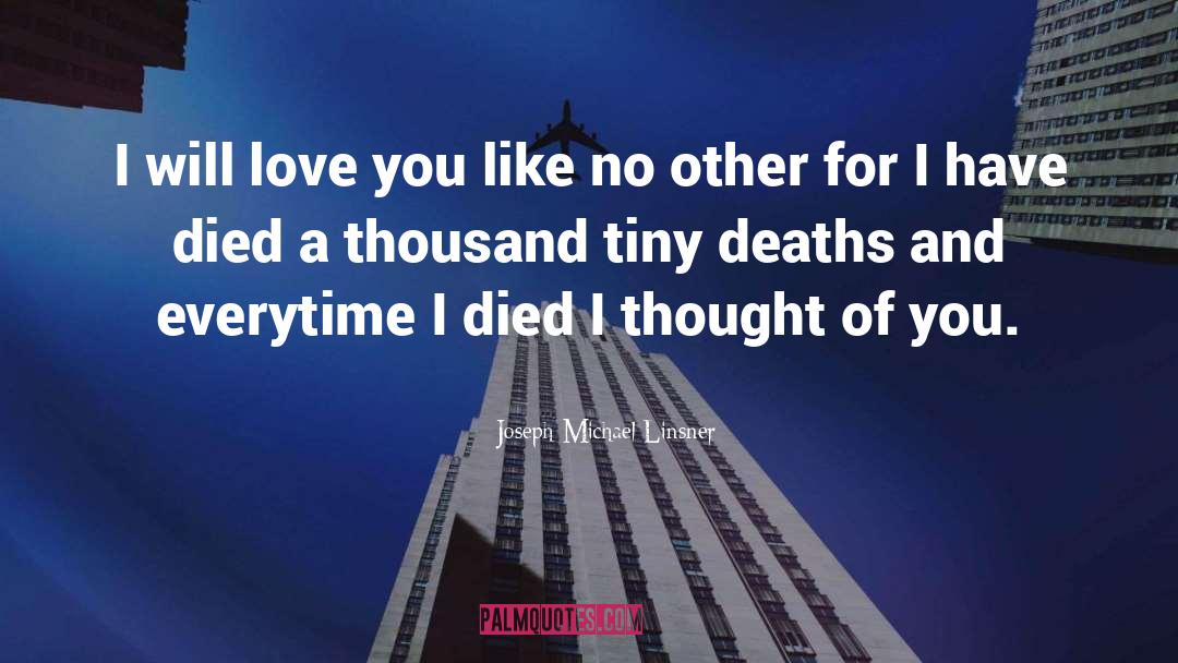 Joseph Michael Linsner Quotes: I will love you like