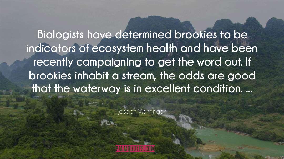 Joseph Monninger Quotes: Biologists have determined brookies to