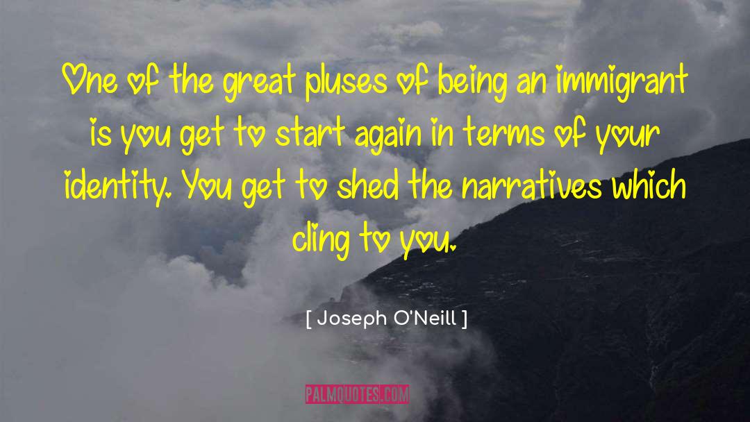 Joseph O'Neill Quotes: One of the great pluses