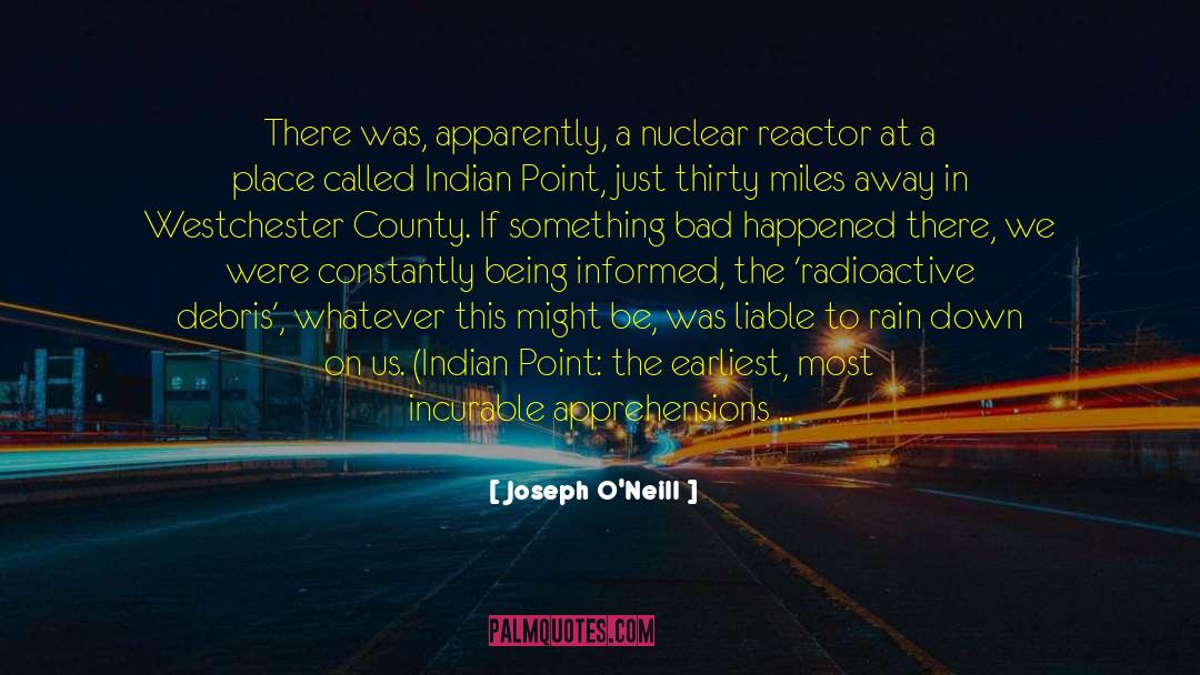 Joseph O'Neill Quotes: There was, apparently, a nuclear