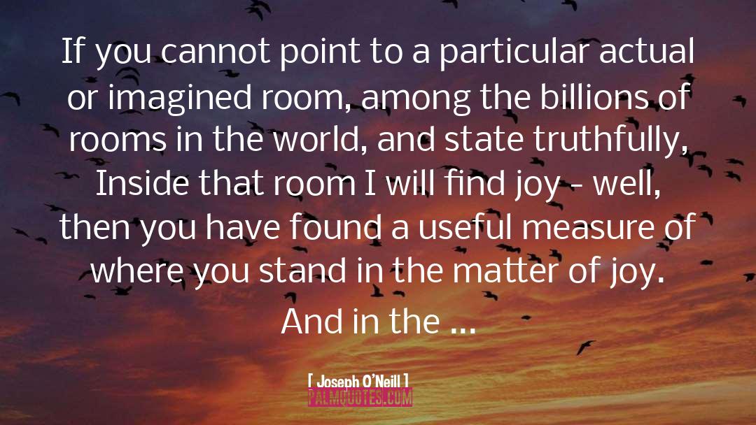 Joseph O'Neill Quotes: If you cannot point to