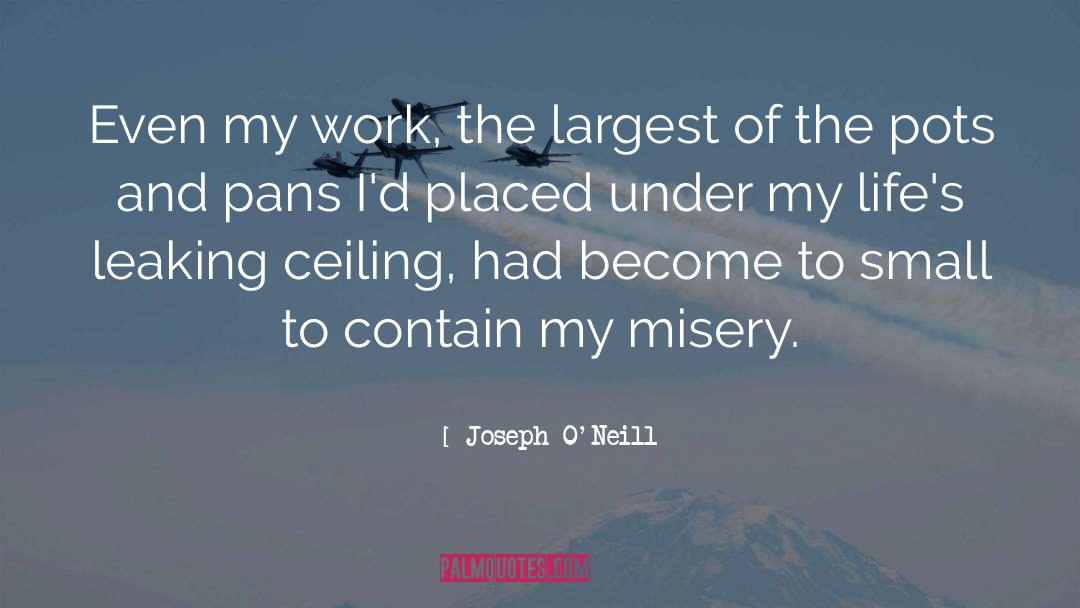 Joseph O'Neill Quotes: Even my work, the largest