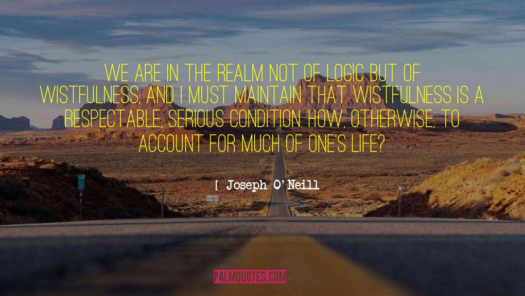 Joseph O'Neill Quotes: We are in the realm