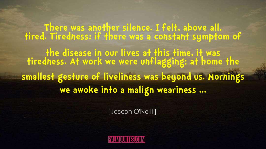 Joseph O'Neill Quotes: There was another silence. I