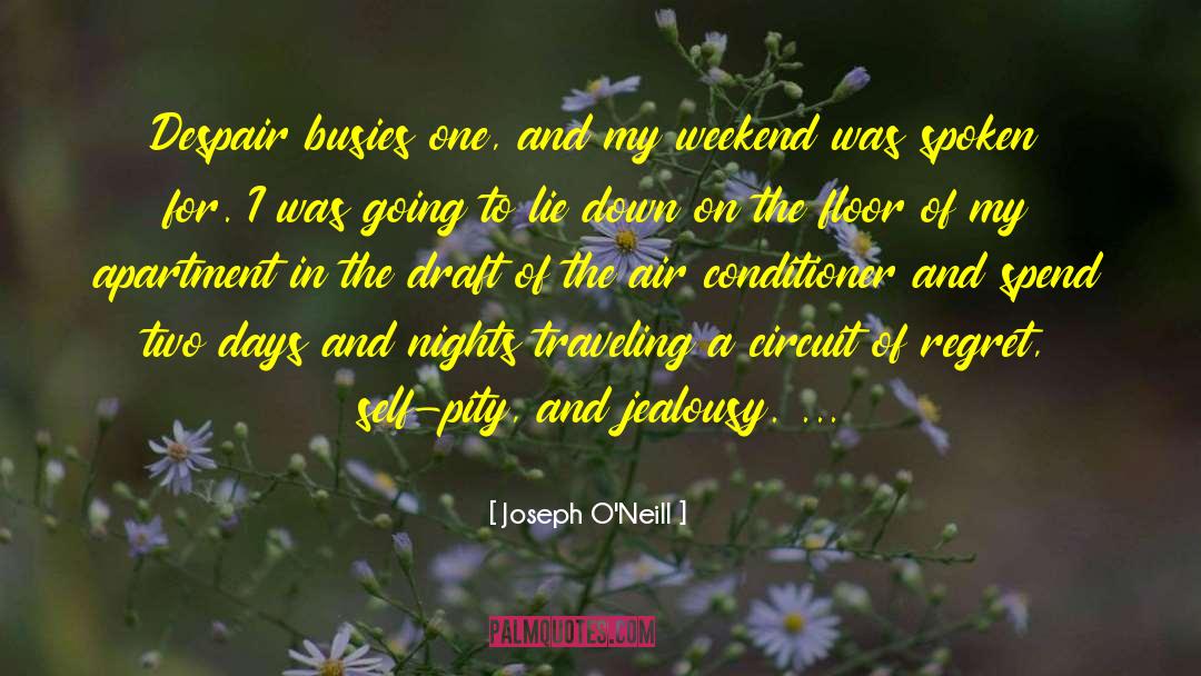 Joseph O'Neill Quotes: Despair busies one, and my