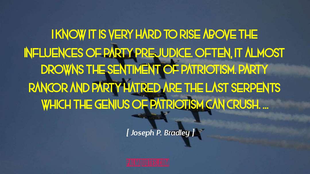 Joseph P. Bradley Quotes: I know it is very