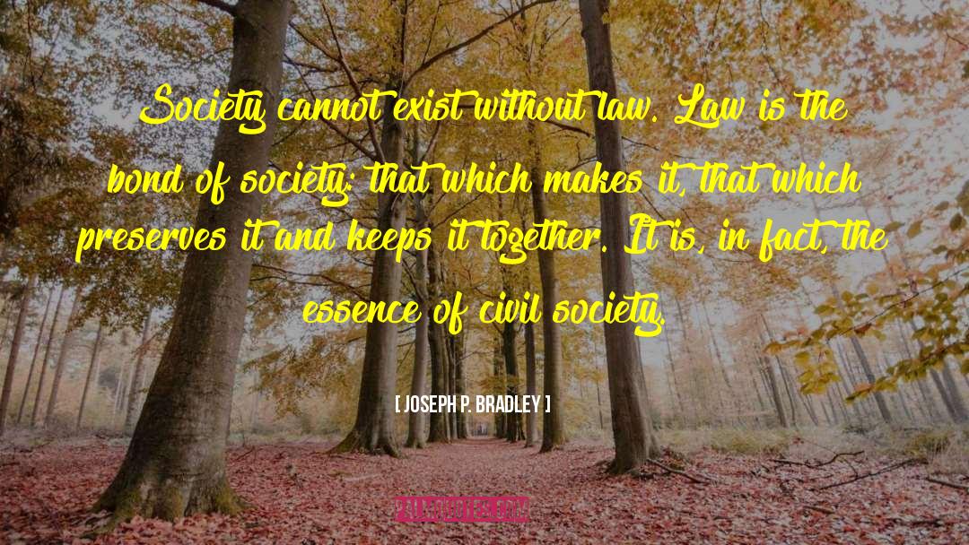 Joseph P. Bradley Quotes: Society cannot exist without law.