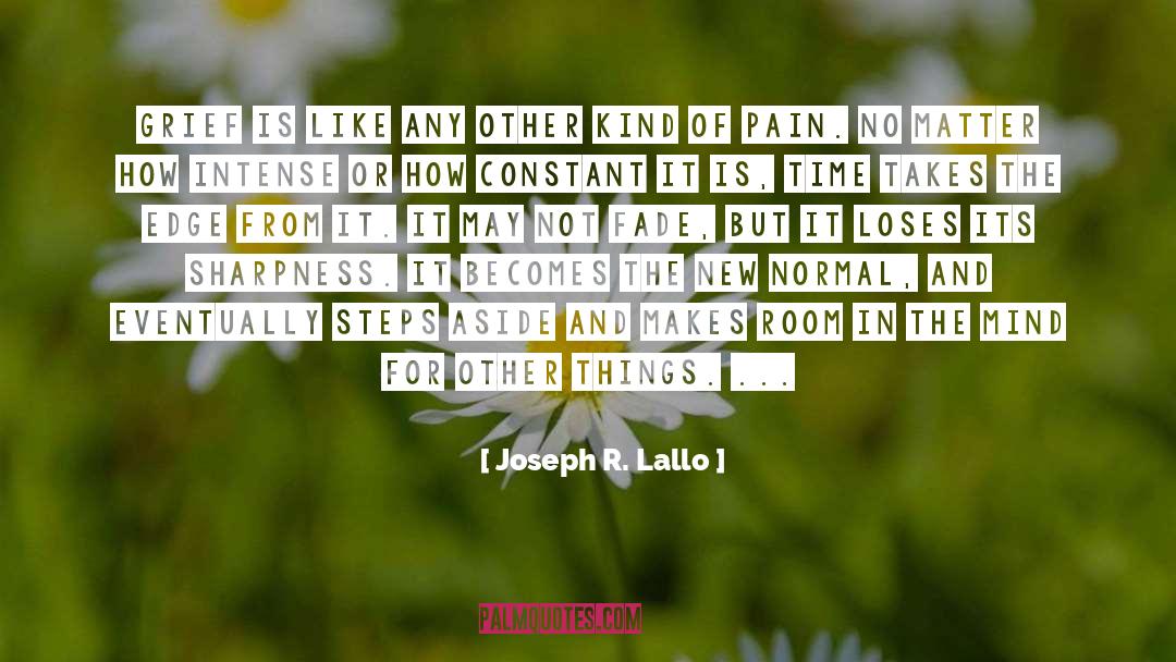 Joseph R. Lallo Quotes: Grief is like any other