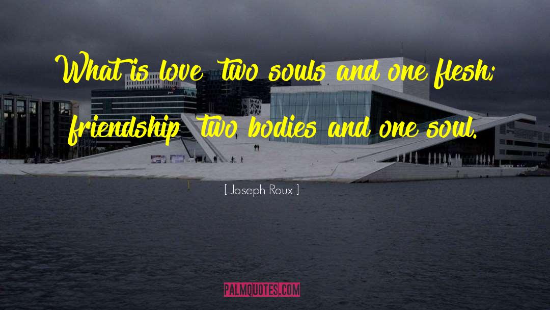 Joseph Roux Quotes: What is love? two souls