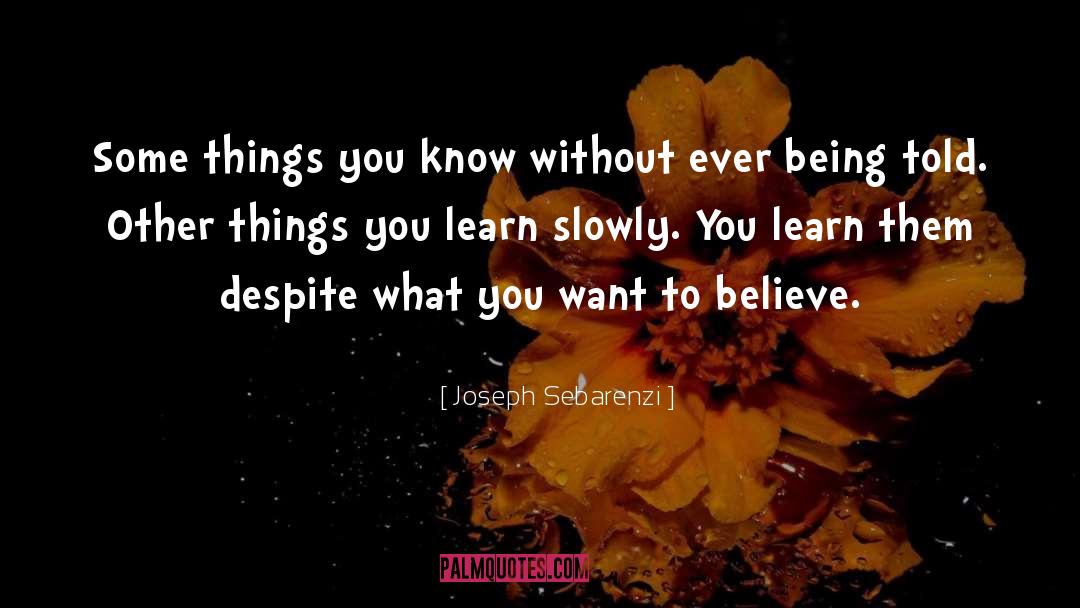 Joseph Sebarenzi Quotes: Some things you know without