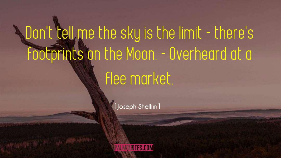 Joseph Shellim Quotes: Don't tell me the sky