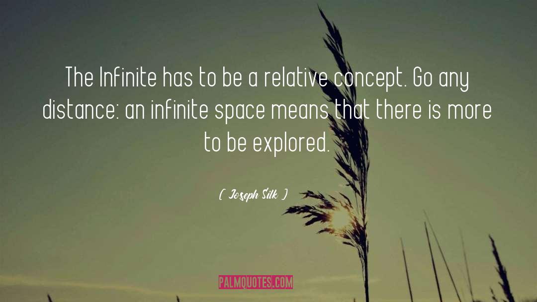 Joseph Silk Quotes: The Infinite has to be