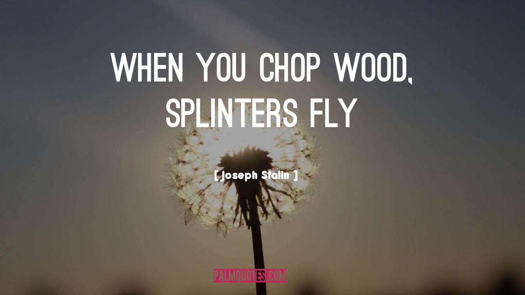 Joseph Stalin Quotes: When you chop wood, splinters