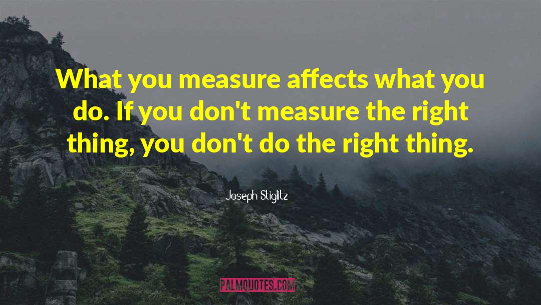 Joseph Stiglitz Quotes: What you measure affects what