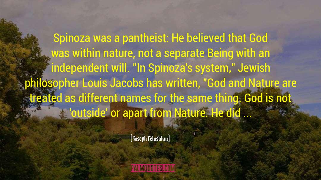 Joseph Telushkin Quotes: Spinoza was a pantheist: He