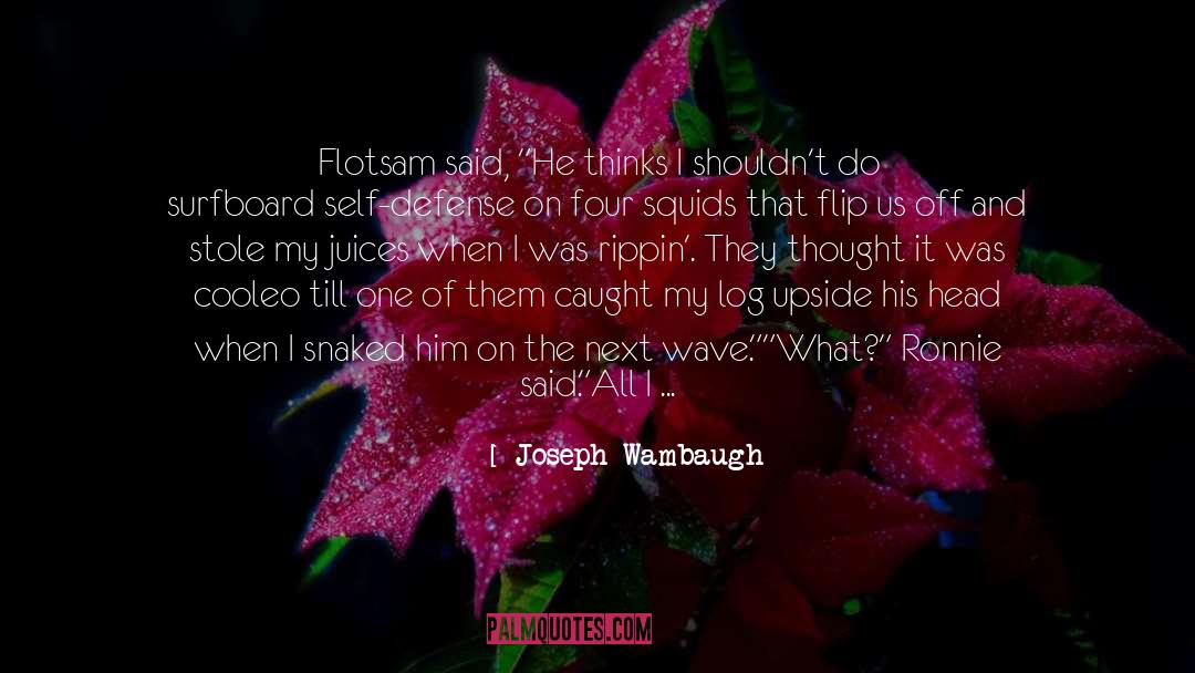 Joseph Wambaugh Quotes: Flotsam said, 