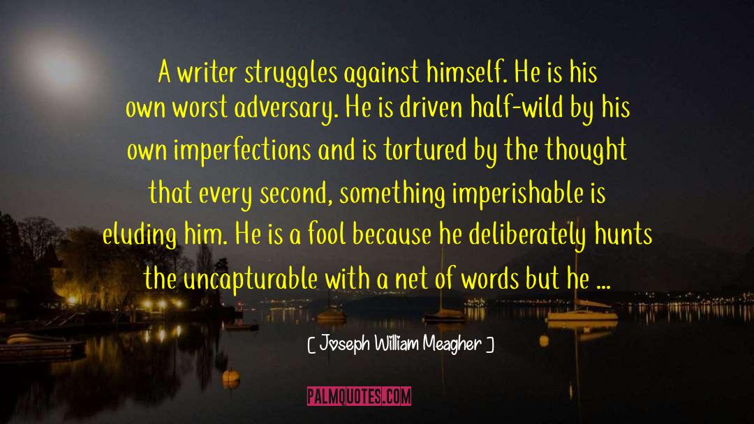Joseph William Meagher Quotes: A writer struggles against himself.